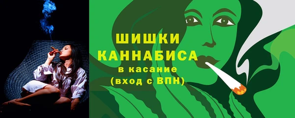 гашик Верея