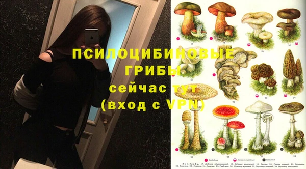 тгк Верхний Тагил