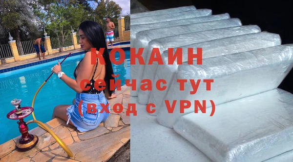гашик Верея