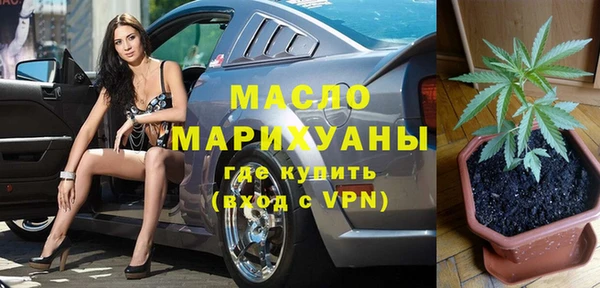 индика Сосновый Бор