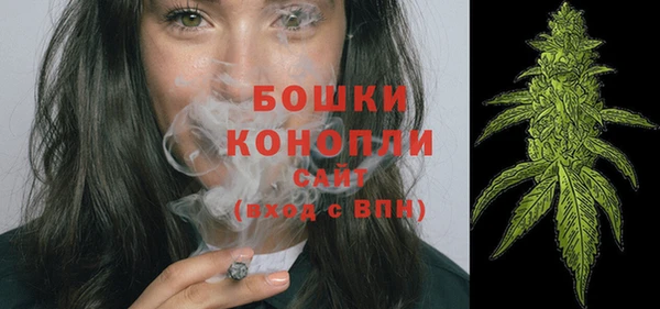 гашик Верея