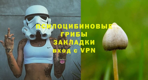 гашик Верея